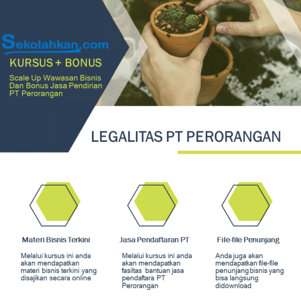 Pengantar Bisnis dan Bonus Dibuatkan PT Perorangan